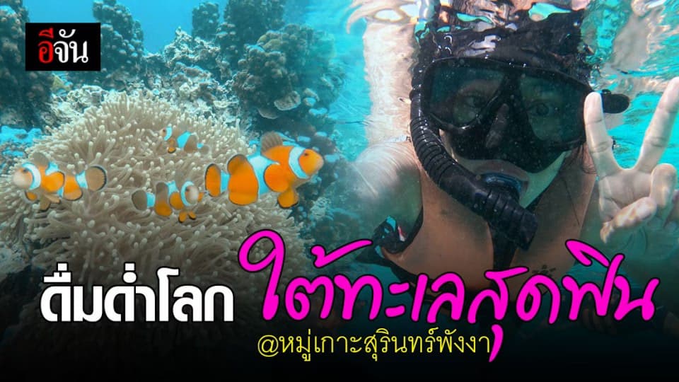 สัมผัสโลกใต้ท้องทะเลสุดฟิน หมู่เกาะสุรินทร์ จ.พังงา