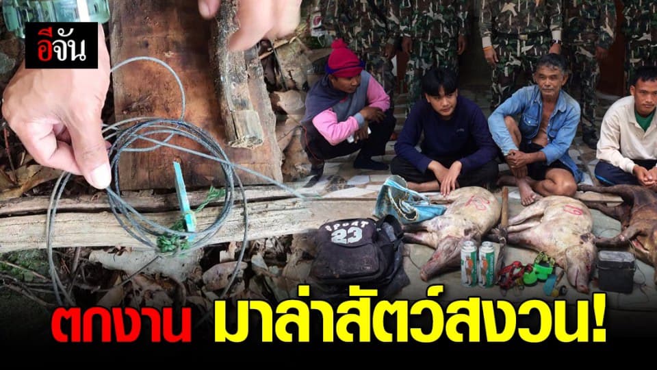 จับนักล่าอ้างตกงาน จึงออกล่าสัตว์สงวนเทือกเขาพนมรัก