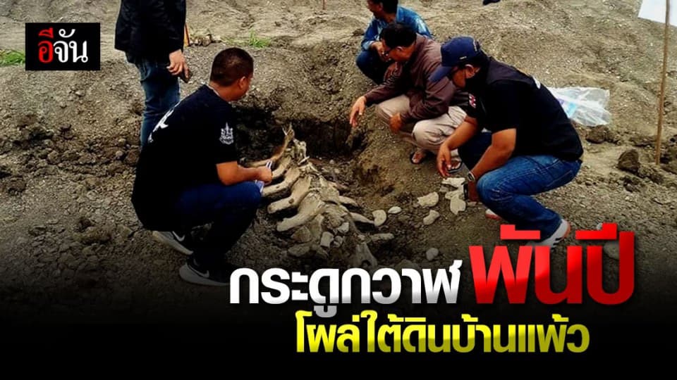 เป็นไปได้อย่างไร ? ชาวบ้าน พบซาก “ วาฬ “ ขนาด ยักษ์ ฝัง ใต้ดิน ห่างทะเลหลายสิบกิโลฯ