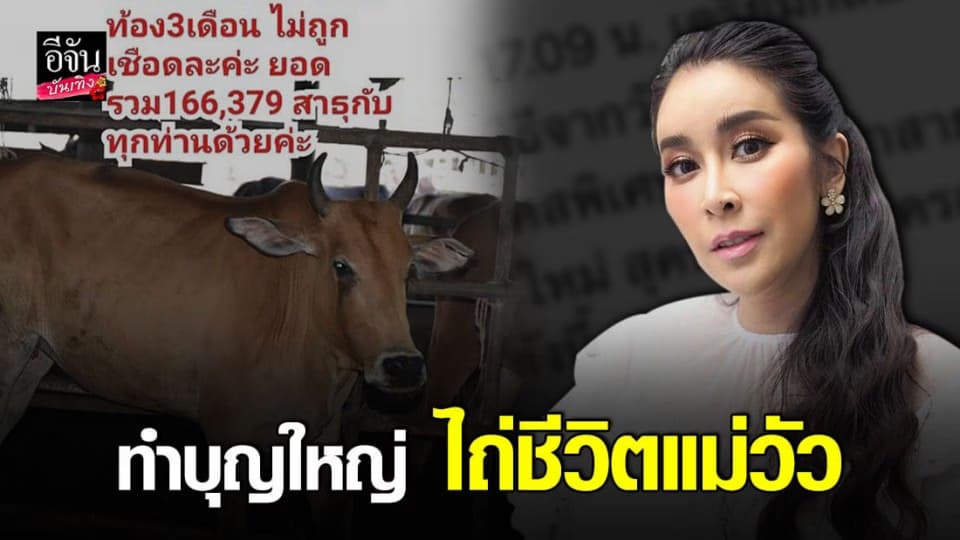 ใหม่ สุคนธวา ร่วม ทำบุญวันพระ ไถ่ชีวิตแม่วัว ท้อง 3 เดือน