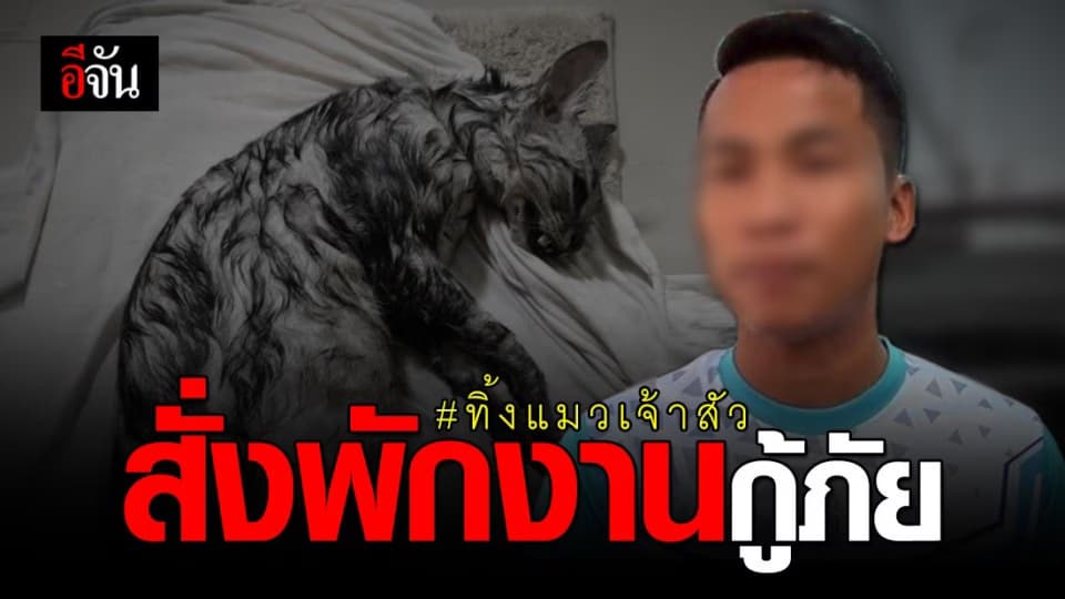 หัวหน้ากู้ภัย สั่งพักงานกู้ภัย เซ่น ปล่อยแมว “ เจ้าสัว ” ตาย