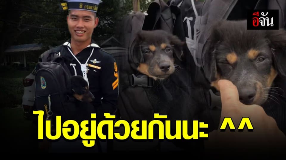 มาเรียน จ่าทหารเรือ อย่างไรให้ได้ ลูกหมา กลับบ้าน !