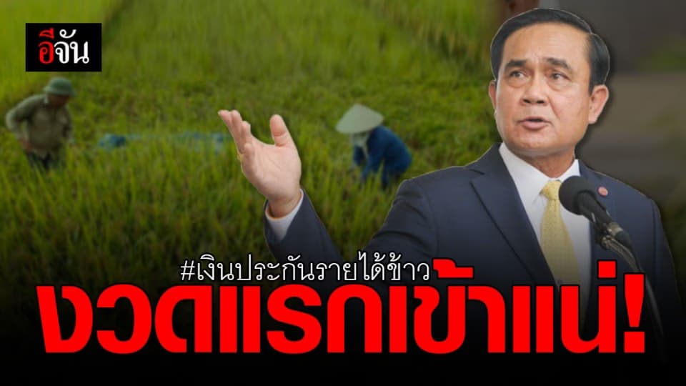 เคาะวันเงินเข้า ! รัฐบาล พร้อมจ่าย เงินประกันรายได้ข้าว 5 ชนิด งวดแรก
