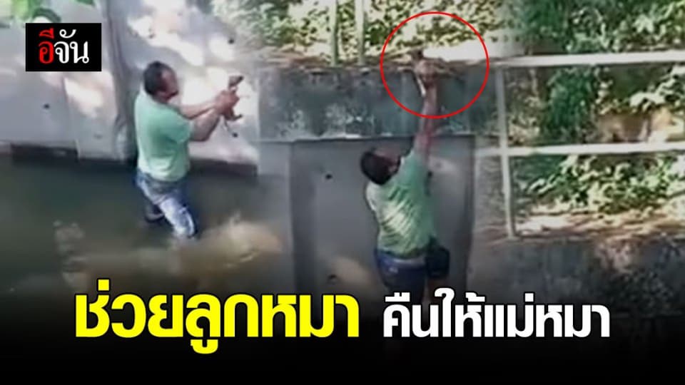 ชื่นชม ชายใจดี ช่วยลูกหมาตกคลอง