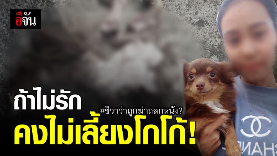 เจ้าของ แจงดราม่า ! โกโก้ สุนัขชิวาว่า ถูก ฆ่าตัวหัว ถลกหนัง?