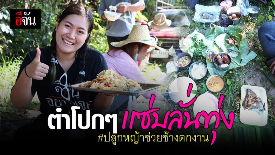 ส่องเมนูเด็ด ! ตั้งโรงครัวกลางทุ่ง ควาญช้างอิ่ม มีเเรง “ ตัดหญ้าเนเปียร์ “ ช่วยช้างตกงาน