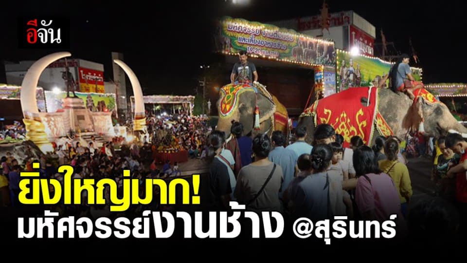 เริ่มแล้ว ! มหัศจรรย์งานช้าง สุรินทร์ ยิ่งใหญ่สมคำร่ำลือ