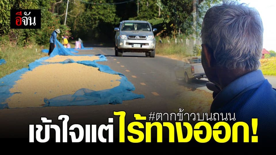 ชาวนา อ.ท่าตูม พรั่งพรู ดราม่าตากข้าวบนถนน เผยถ้าไม่ลำบากคงไม่ทำแบบนี้