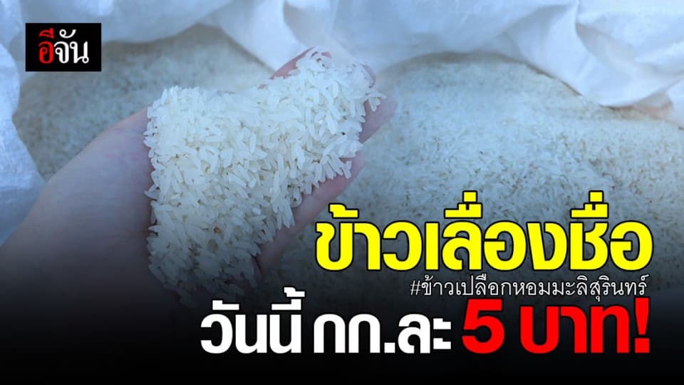 ชาวนาทุกข์ ! ข้าวเปลือกหอมมะลิสุรินทร์ ราคาร่วง เหลือกิโลกรัมละ 5 บาท