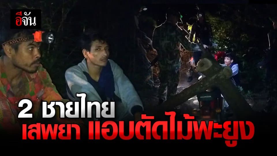 จับ 2 ชายไทย ลักลอบตัดไม้พะยูง ใน ขสป.ห้วยศาลา