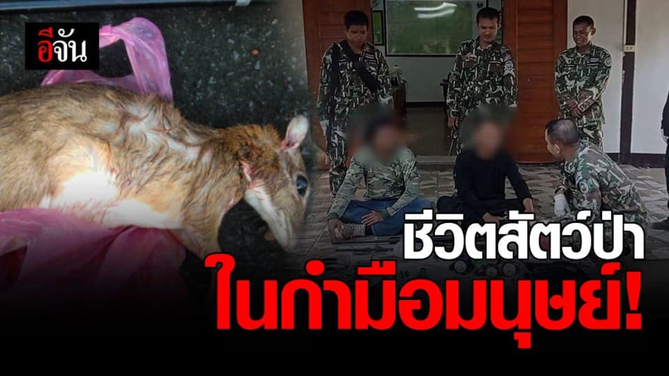 จับ 2 ชายไทย ใจร้าย! ลักลอบล่าสัตว์ป่า เขตรักษาพันธุ์สัตว์ป่าห้วยศาลา