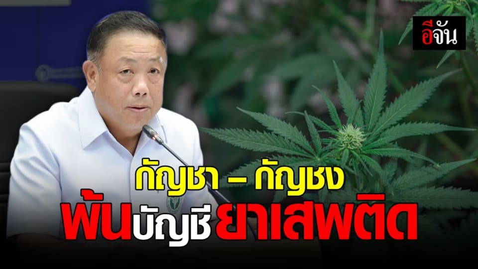 อย. ปลดล็อก กัญชา กัญชง พ้นบัญชียาเสพติด