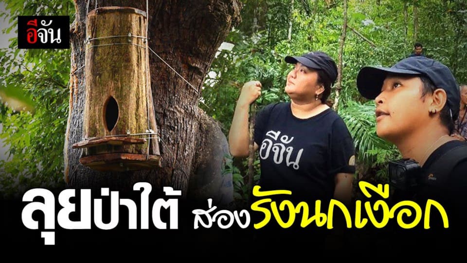 เข้าป่าฝนใต้ สำรวจ รังนกเงือก