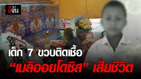 เเพทย์เเจง เด็ก 7 ขวบติดเชื้อ “เมลิออยโดซิส” ไม่ใช่ไข้หวัดใหญ่