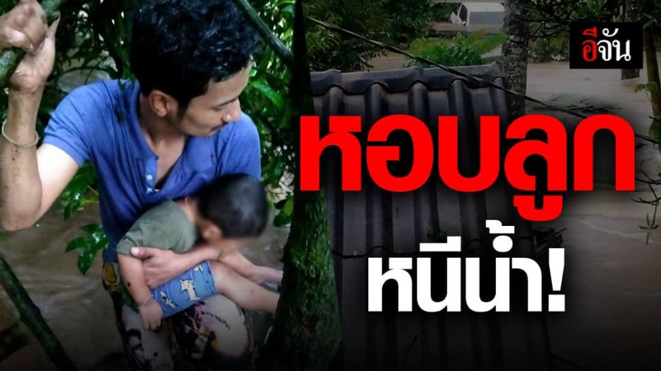 น้ำท่วม เราต้องรอด หอบลูกปีนต้นไม้ หนี น้ำท่วมนครศรีธรรมราช