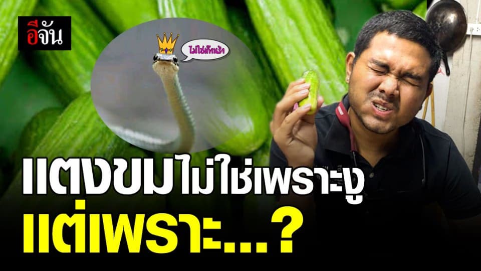 รู้เเล้ว เเตงกวาขมเพราะอะไร เปลี่ยนความคิด ว่าเพราะงูทำให้เเตงกวาขม!