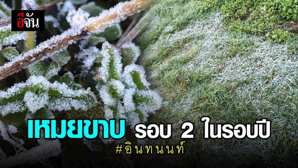 เหมยขาบ รอบที่ 2 ดอยอินทนนท์ นักท่องเที่ยว คึกคัก