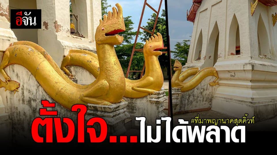 วัดชัยภูมิการาม อุบลฯ แจงชัดที่มา พญานาคสุดคิ้วท์ ตั้งใจไม่ได้พลาด!