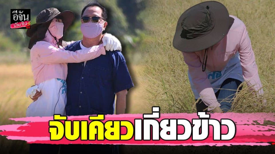 ตั๊ก บงกช ควง เจ้าสัวบุญชัย ลงนา จับเคียวเกี่ยวข้าว