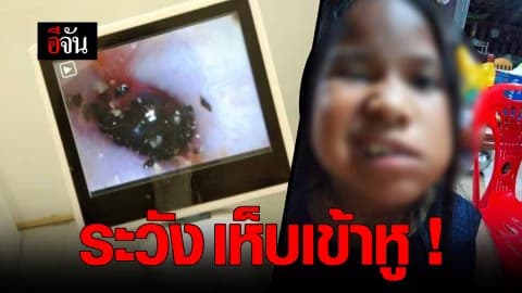 ระวัง เห็บเข้าหู !