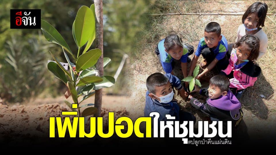 ปลูกป่าคืนแผ่นดิน เพิ่ม พื้นที่สีเขียว ให้ชุมชน