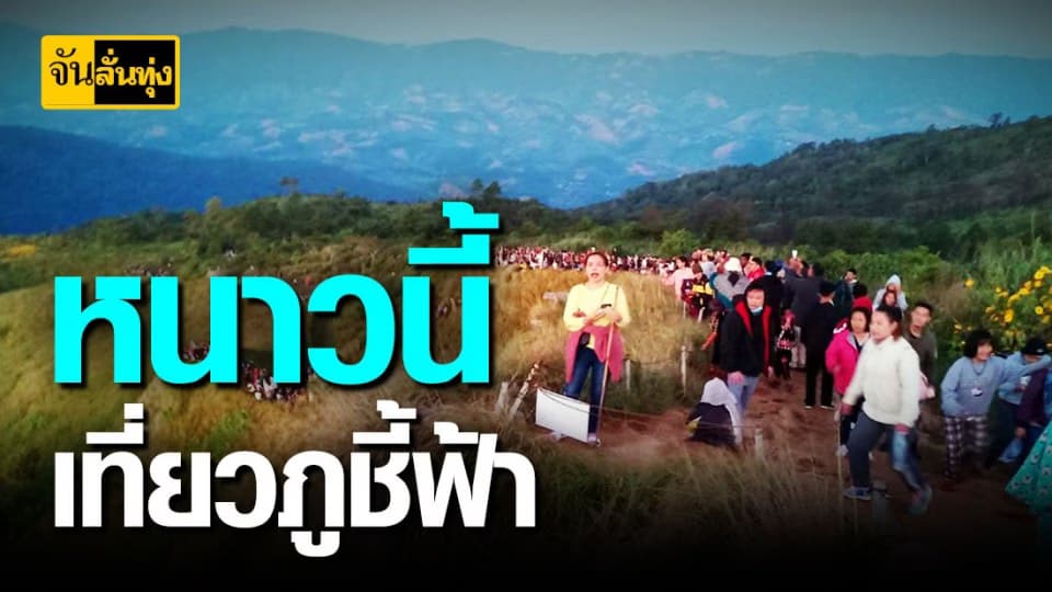 นักท่องเที่ยวแห่ท้า ลมหนาว  ภูชี้ฟ้า
