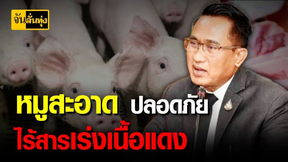 ปศุสัตว์เดินหน้า ปฏิบัติการ หมูสะอาด ปลอด สารเร่งเนื้อแดง