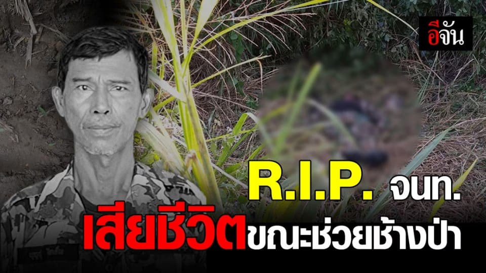 เศร้า ช้างป่า บาดเจ็บ ทำร้าย จนท. อุทยานแห่งชาติกุยบุรี เสียชีวิต