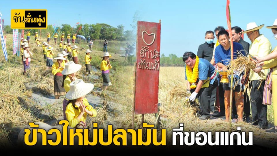 สุดเจ๋ง ขอนแก่น ผุดกิจกรรม ข้าวใหม่ปลามัน ยกระดับ เกษตรกร