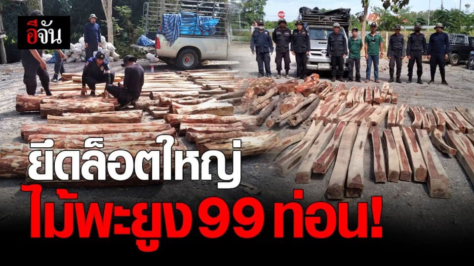 ทหารจันทบุรี จับไม้พะยูง 99 ท่อน เตรียมส่งข้ามชายแดน