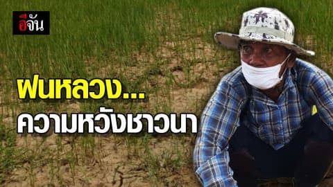 ภัยแล้งคุกคาม!!! ปฏิบัติการฝนหลวงช่วยชาวนา จ.สระเเก้ว