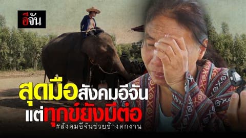 สุดมือสังคมอีจัน แต่ทุกข์ยังมีต่อ#สังคมอีจันช่วยช้างตกงาน