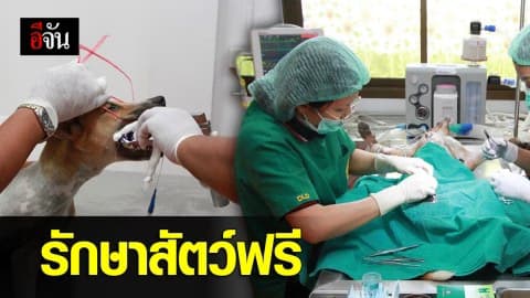 รมว.กษ. เปิดโครงการรถผ่าตัดสัตว์เคลื่อนที่ รองรับ พ.ร.บ.ป้องกันการทารุณกรรมฯ