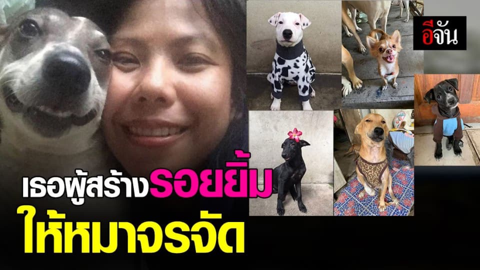ชื่นชม! สาวใจบุญ ดูแล หมาแมวจรจัด กว่า 100 ตัว ช่วยหลายชีวิต ให้อยู่ต่อ