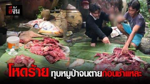 โหดร้าย ทุบหมูป่าจนตายก่อนชำแหละ