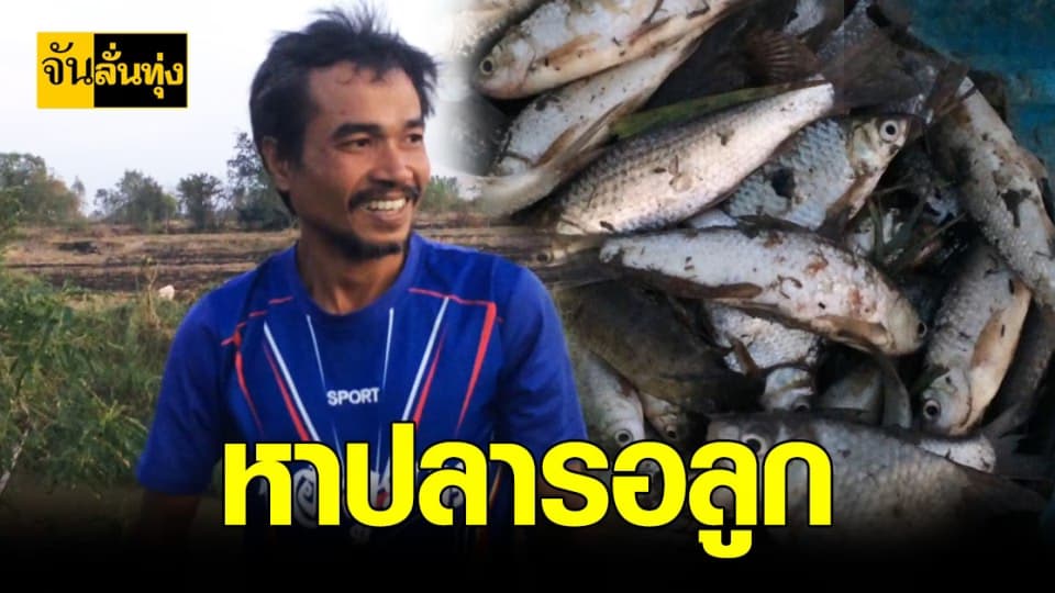 ชาวบ้าน กาฬสินธุ์ สุดคึกคัก แห่จับปลารับปีใหม่