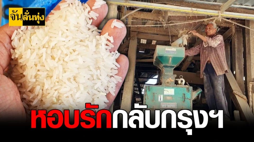 ชาวนครราชสีมา แห่สี ข้าว เป็นของฝาก ปีใหม่