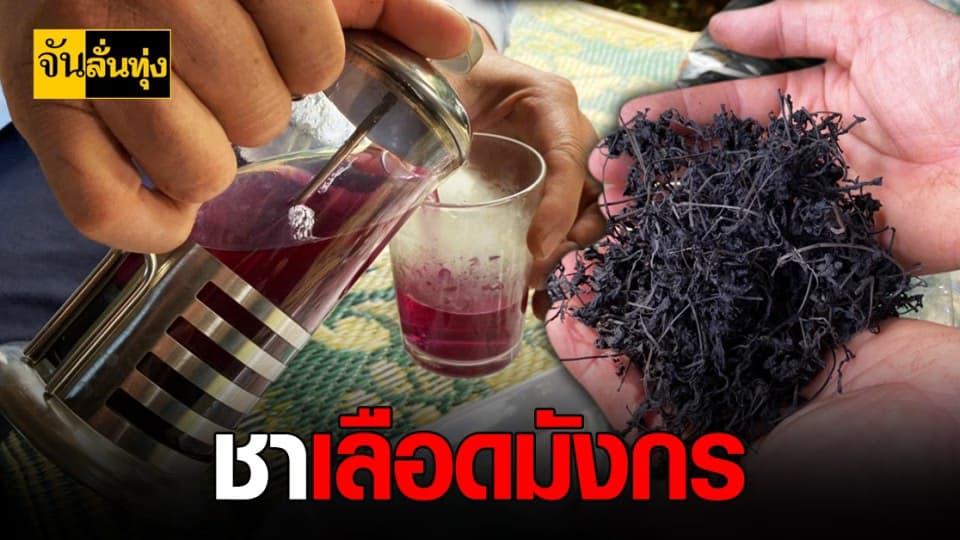 ชาสีแดง ชาเลือดมังกร แปลกแต่มีประโยชน์