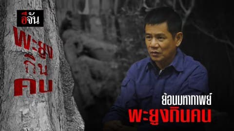 ย้อนมหากาพย์ #พะยูงกินคน ตัดพะยูง 1 ต้นเพื่อส่งข้ามชาติ !