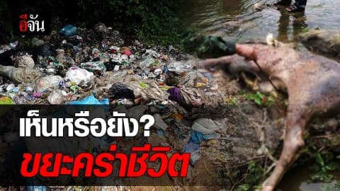 ทิ้งขยะในป่า…เท่ากับทิ้งความตายให้สัตว์ป่าเก็บกิน