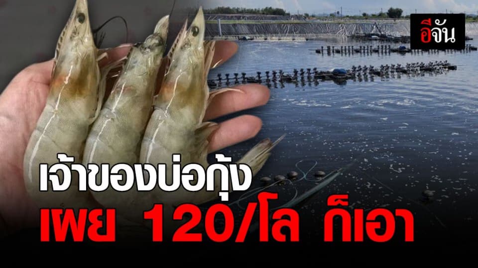 คุยกับเจ้าของบ่อกุ้ง วอนรัฐช่วยเต็มที่