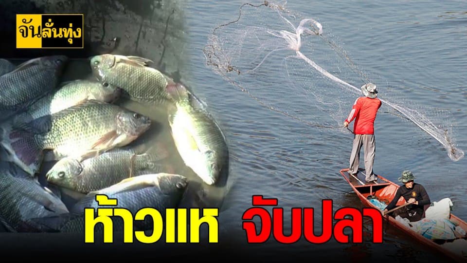 สุดคึกคัก ชาวบ้าน แห่หาปลา ใน อ่างบ้านต๋อม