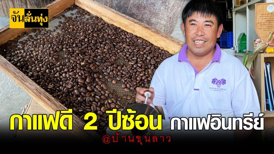 กาแฟอินทรีย์ บ้านขุนลาว กาแฟดีของนักเดินทาง