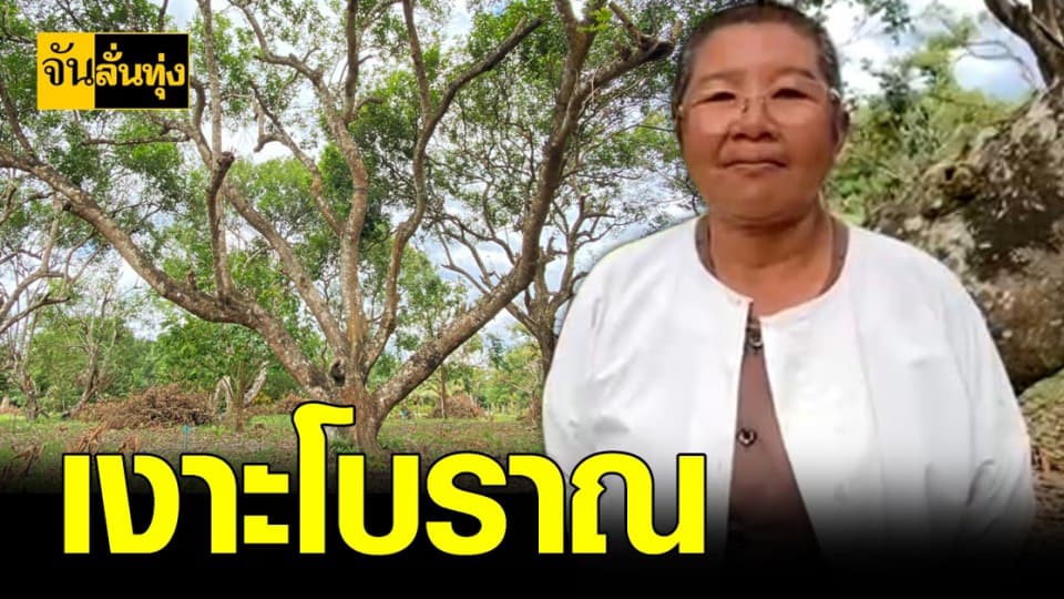 พาดู ต้นเงาะ โบราณ พร้อมพาเที่ยว สวนเกษตร