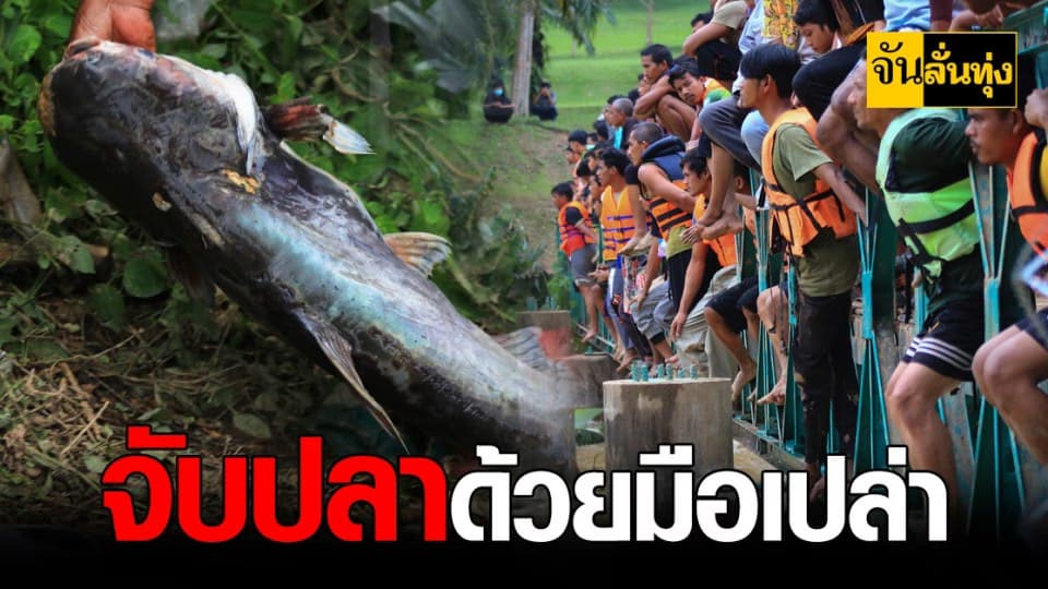 ยะลา ระทึก ตะลุยลุยจับ ปลาบึก ไม่หวั่น น้ำเชี่ยว