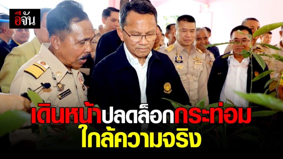 กมธ. ปลดล็อก พืชกระท่อม พิจารณากฏหมาย ครบแล้ว