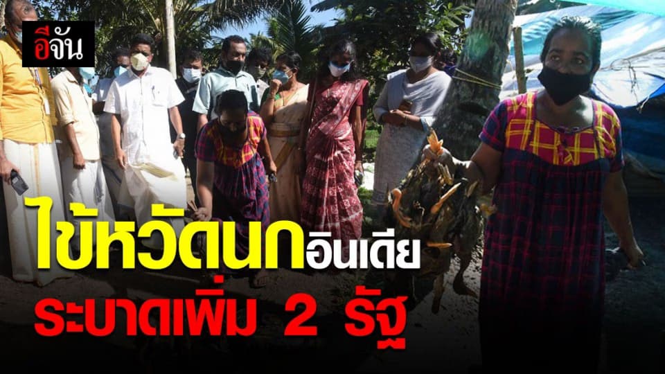 อินเดีย พบ สถานการณ์การระบาด ไข้หวัดนก เพิ่ม 2 รัฐ