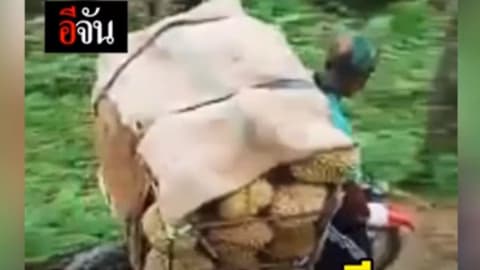 กว่า…ทุเรียน จะถึงมือเรา