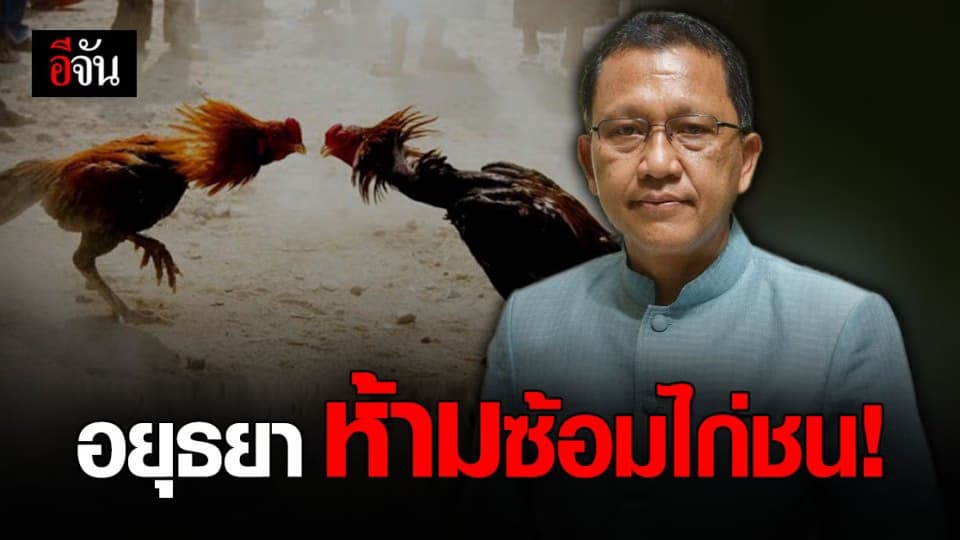 ผู้ว่าฯ อยุธยา ออกหนังสือด่วน ห้ามจัดซ้อม ไก่ชน