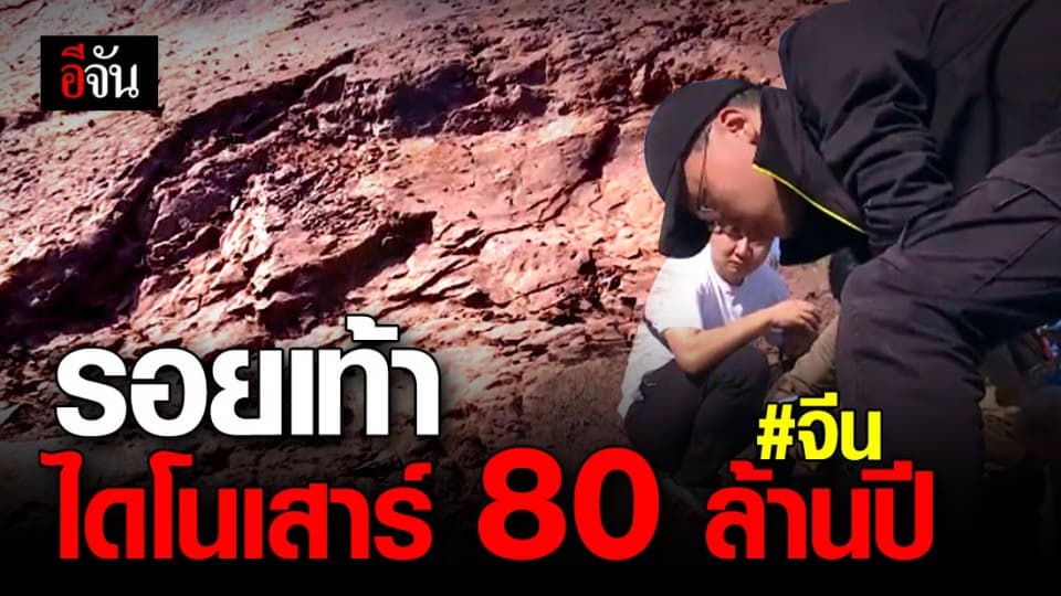 ภาพหาดูยาก! นักวิทยาศาสตร์จีน พบ รอยเท้าไดโนเสาร์ 80 ล้านปี